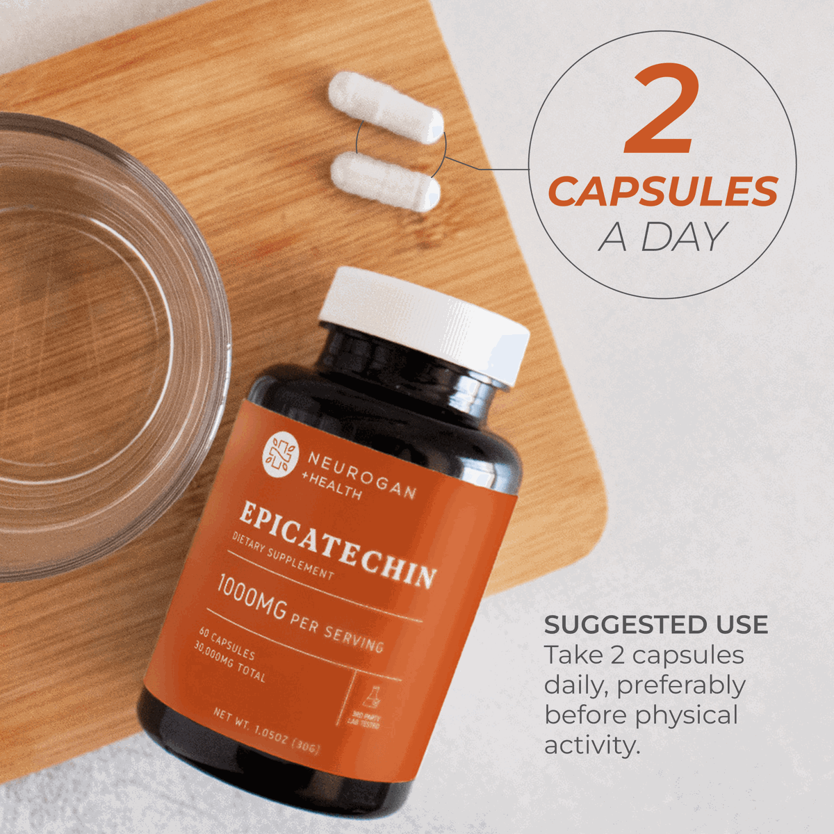 Epicatechin Supplement for Muscle Support and Performance Enhancement