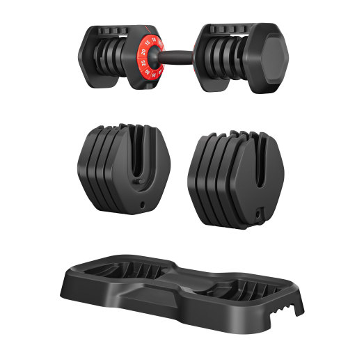 10-in-1 Adjustable Dumbbell Set with Quick Rotation Handle