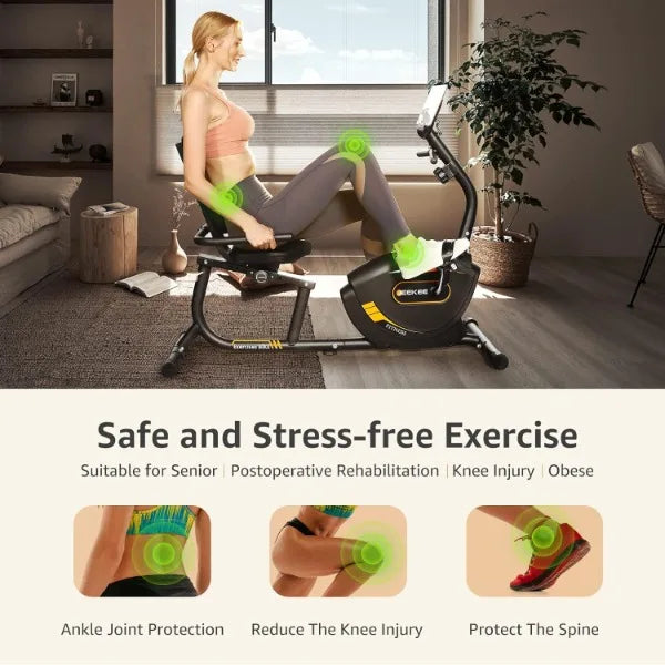 Recumbent Exercise Bike for Adults and Seniors Home Fitness