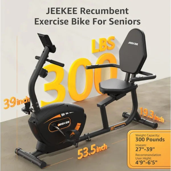 Recumbent Exercise Bike for Adults and Seniors Home Fitness