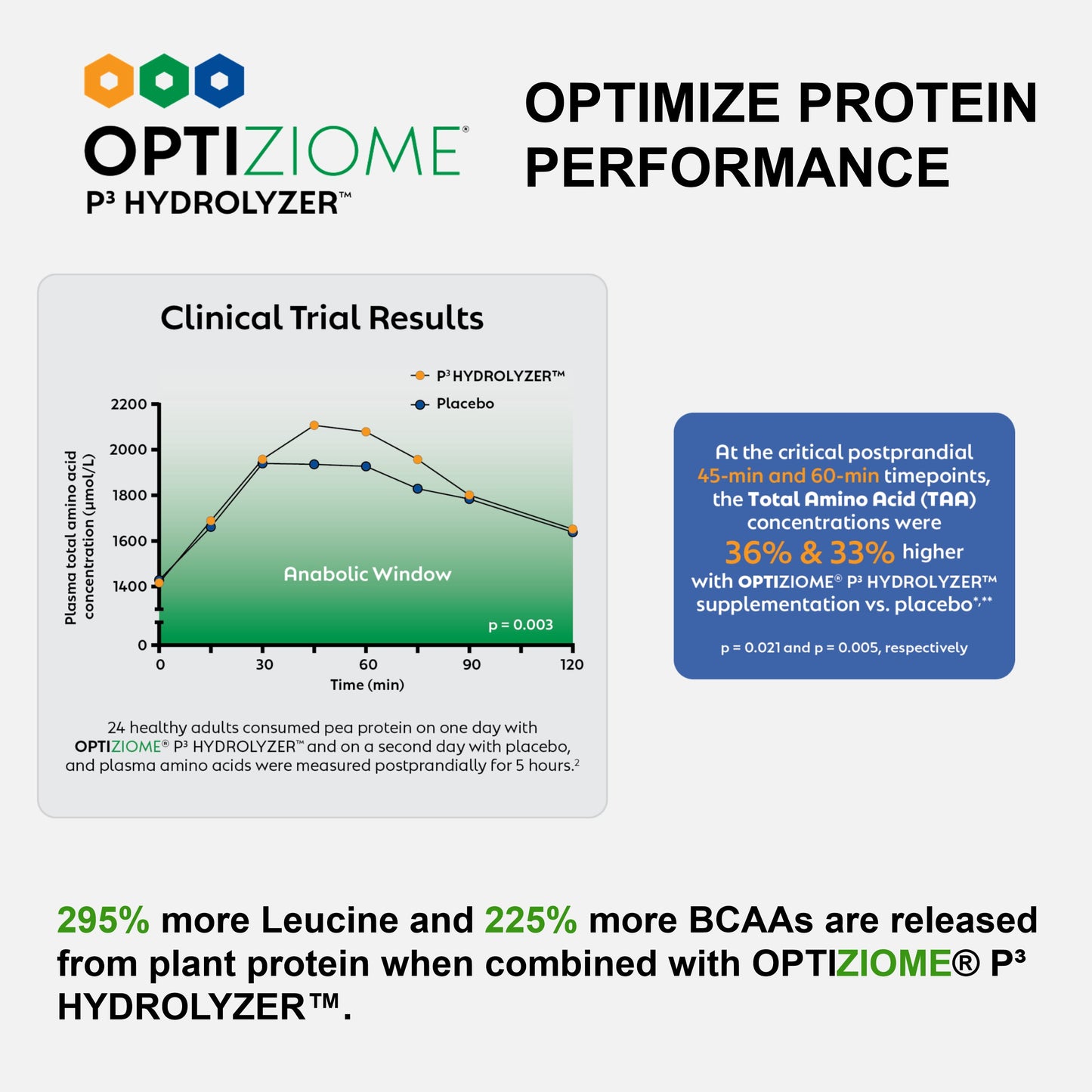 Plant Based Sport Protein for Muscle Recovery and Strength