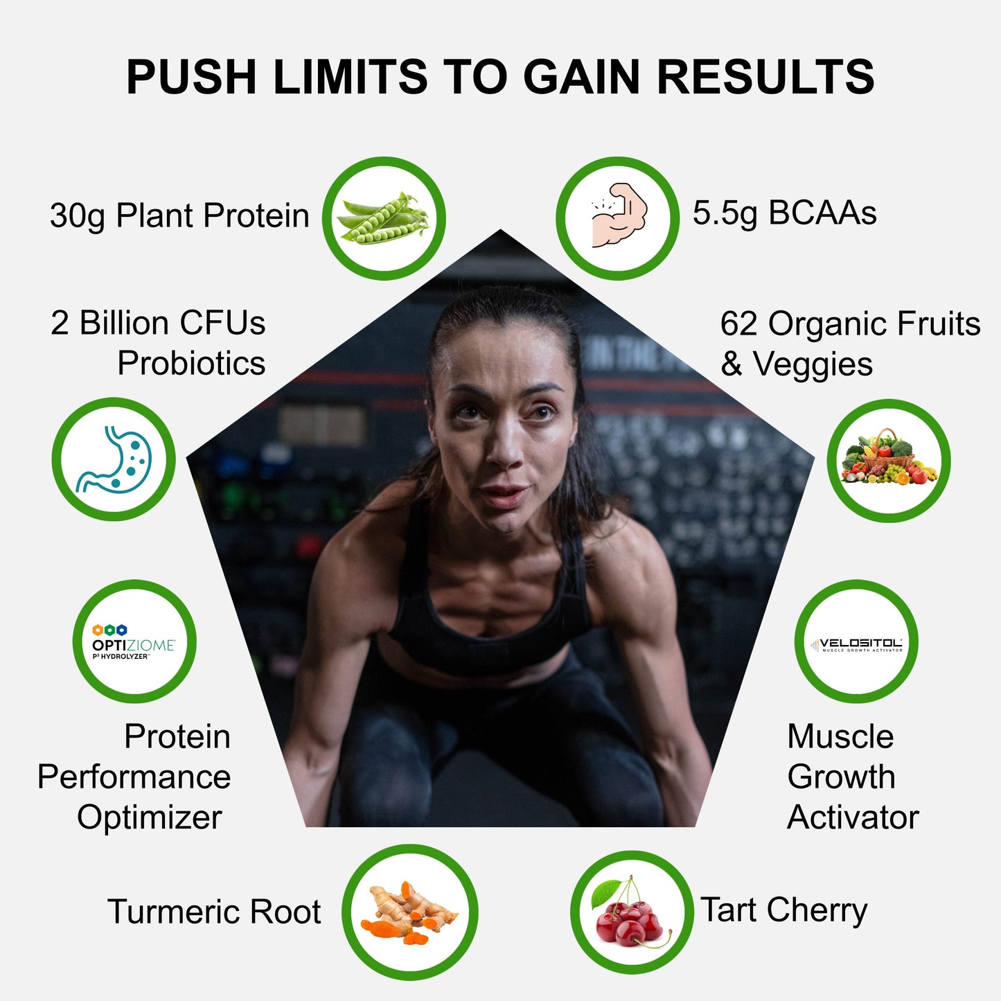 Plant Based Sport Protein for Muscle Recovery and Strength